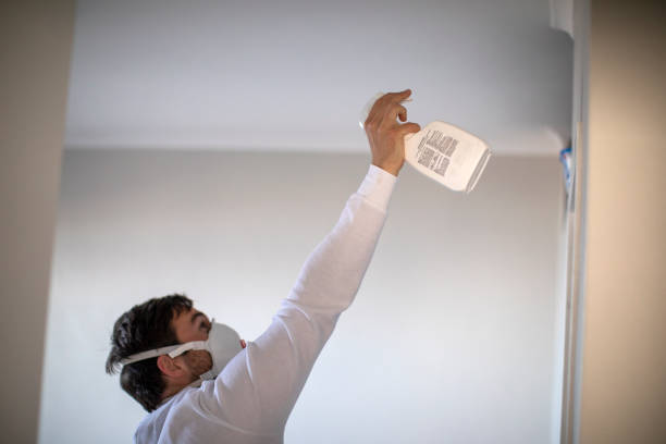 Best Residential Mold Remediation in Anderson, MO