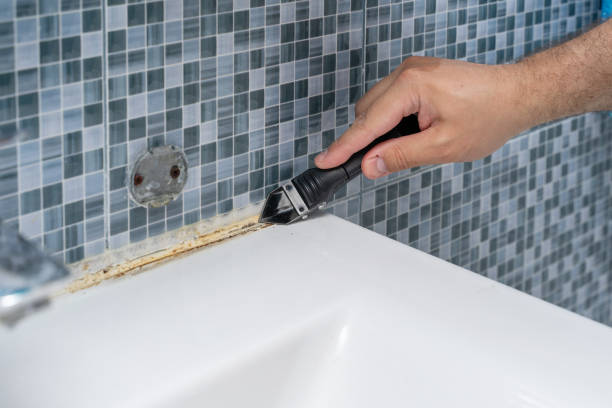 Best Mold Testing and Inspection Services in Anderson, MO