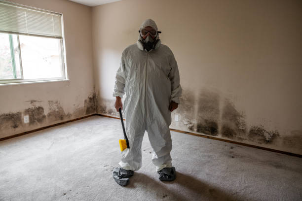 Anderson, MO Mold Remediation Company